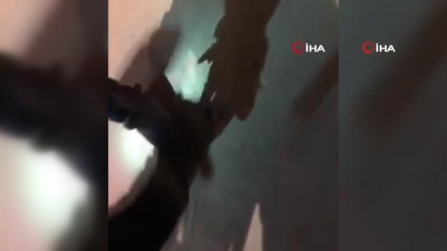 Son dakika 3. sayfa: Duvar içinde deliğe sıkışan kediyi kurtarmaya çalışan itfaiye ekibinden yürekleri ısıtan davranış