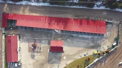 KASTAMONU - Hasta sokak hayvanlarına kaloriferli odalarda bakılıyor