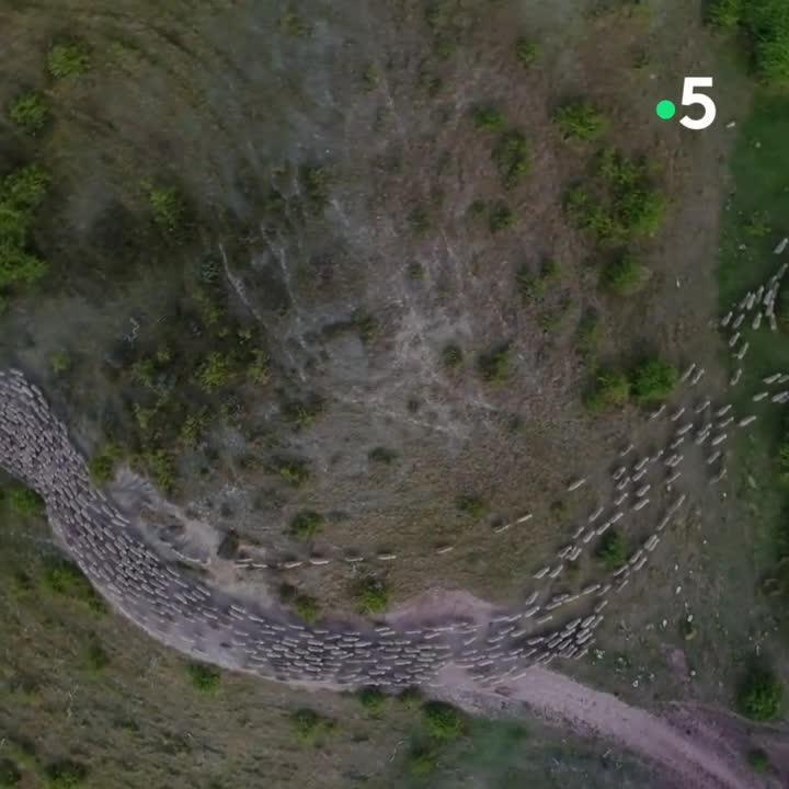 Les avions du bout du monde