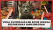 Gemas Kebangetan, Viral Kucing Makan Sosis Hingga Ekspresinya Jadi Sorotan