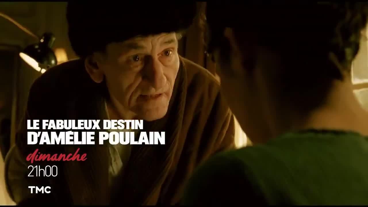 Le fabuleux destin d'Amélie Poulain