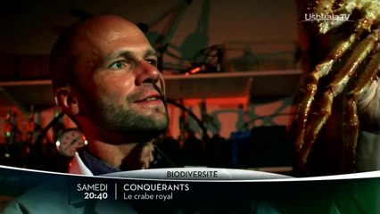 Conquérants