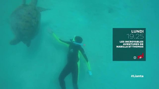 Les incroyables aventures de Nabilla et Thomas en Australie