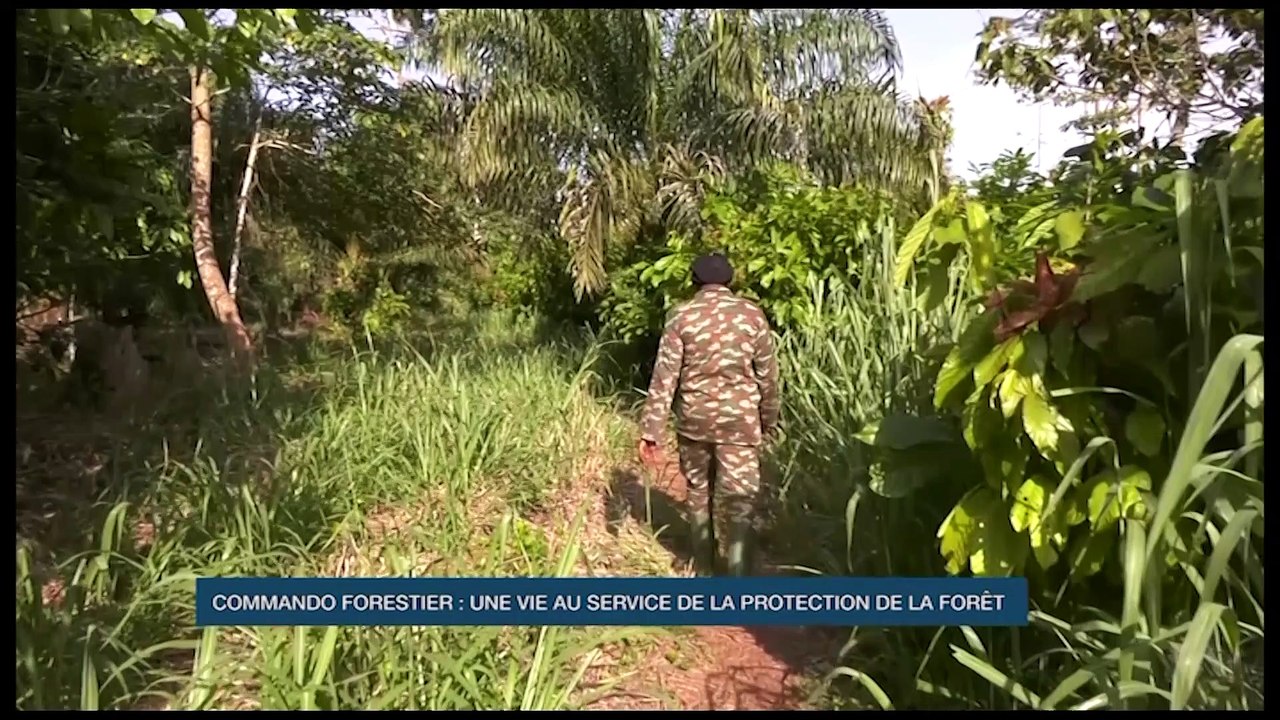 Commando forestier : une vie au service de la protection de la forêt (Eco Plus)