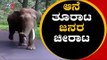 ಆನೆ ತೂರಾಟ..ಜನರ ಚೀರಾಟ | Elephant Chasing People in Mysore | TV5 Kannada
