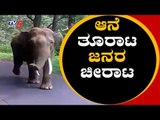 ಆನೆ ತೂರಾಟ..ಜನರ ಚೀರಾಟ | Elephant Chasing People in Mysore | TV5 Kannada