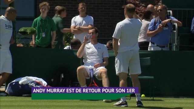 Wimbledon - Federer, Nadal, Murray et Djokovic à l'entraînement sur gazon