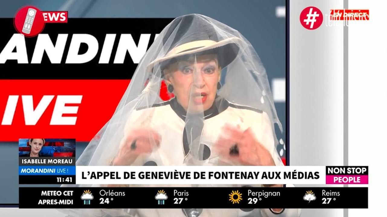 Geneviève de Fontenay voilée dans Morandini Live ? Elle s'explique