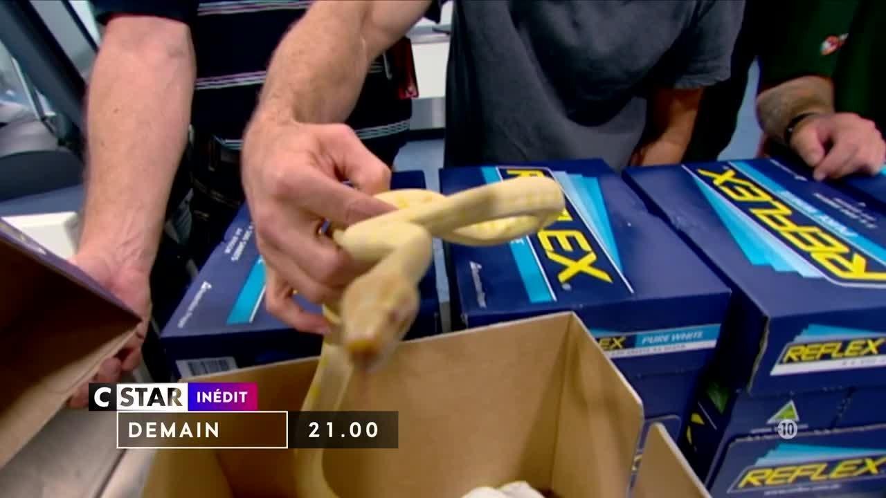 Douanes sous haute surveillance - 3 juillet