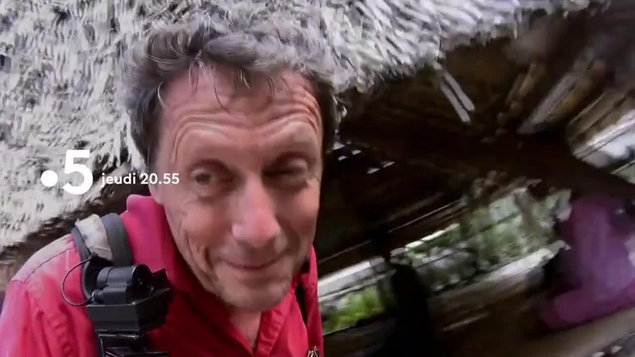 J'irai dormir chez vous