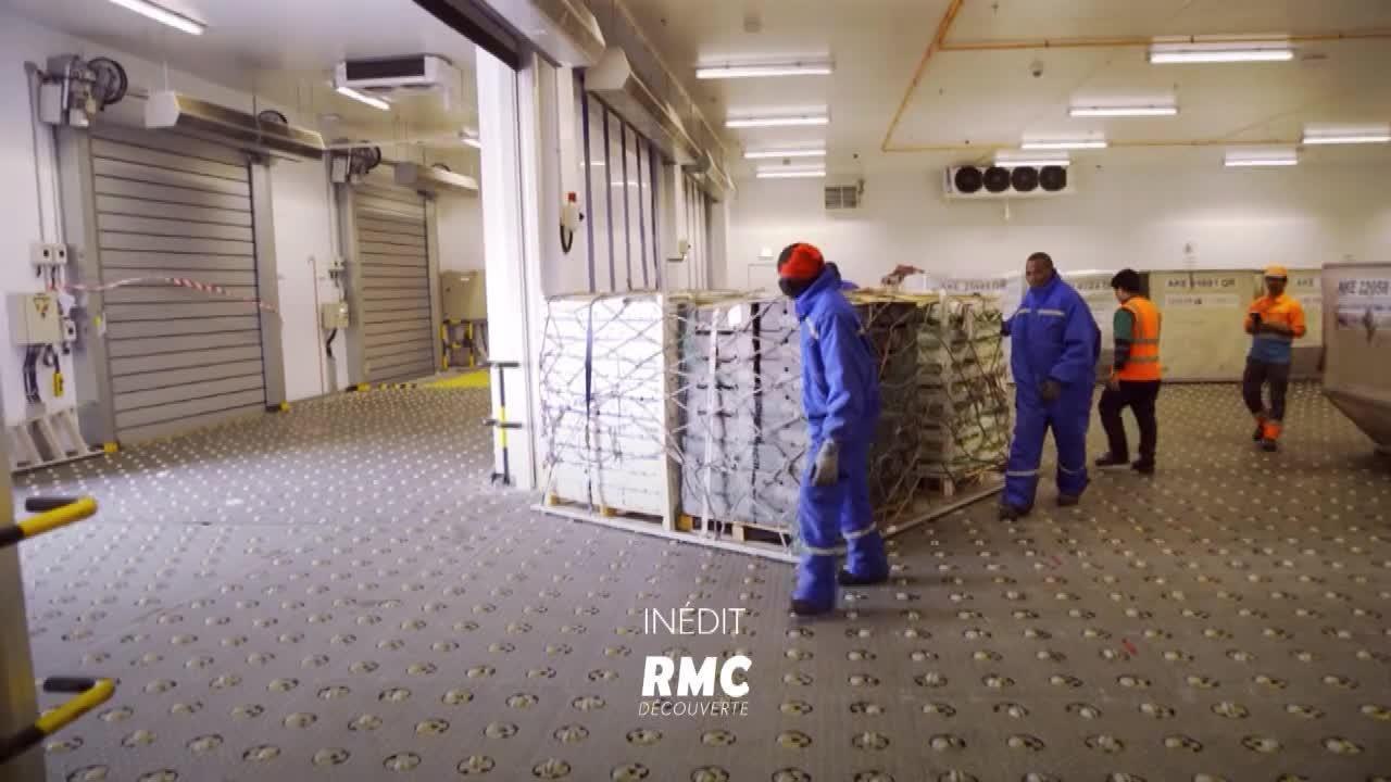 Transports exceptionnels : la route des avions