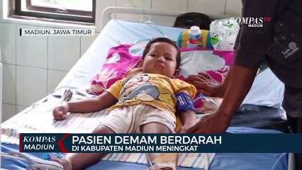 Pasien Demam Berdarah Di Kabupaten Madiun Meningkat