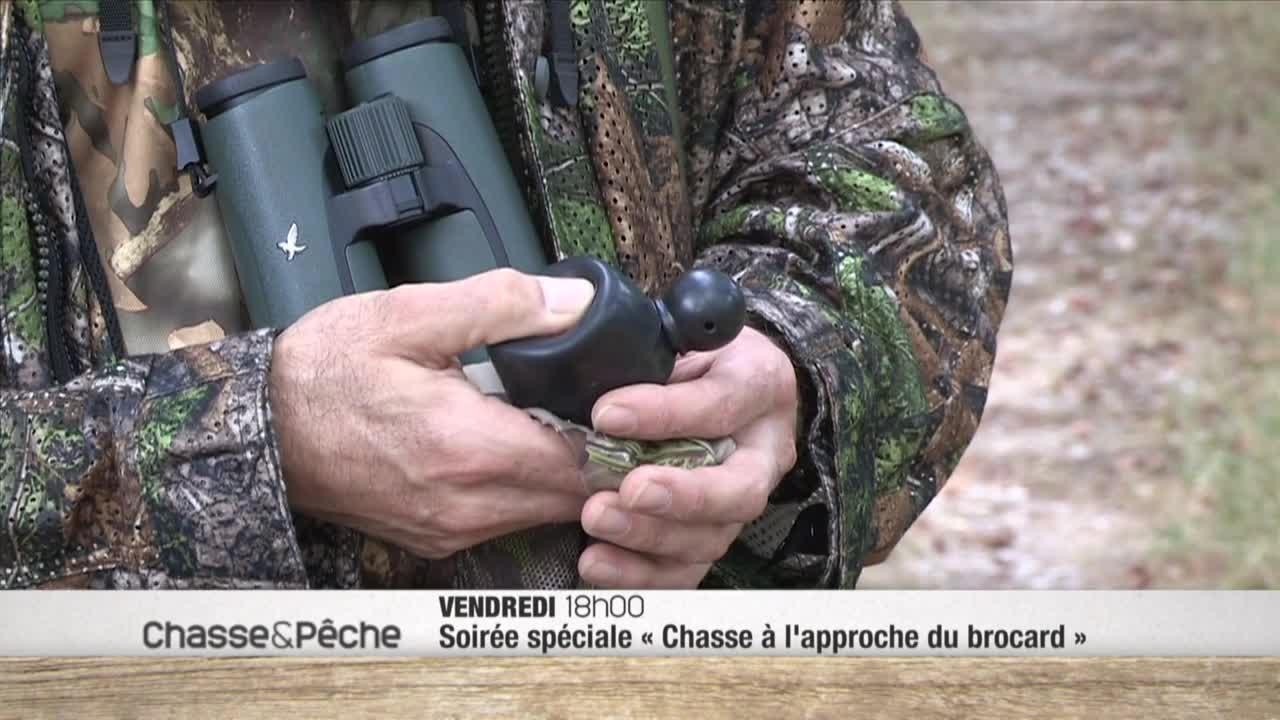 A la poursuite du petit prince de la forêt