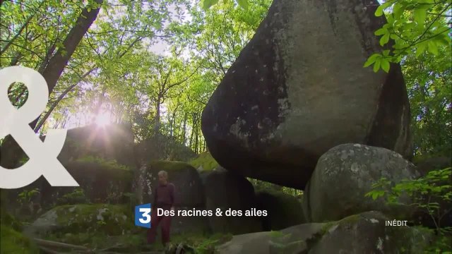 Des racines et des ailes