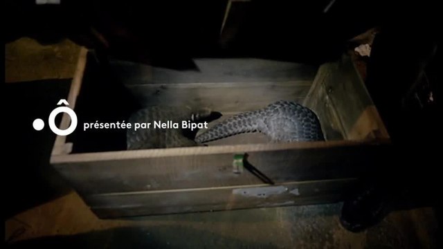 Investigatiôns - 23 mai