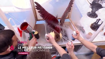 Le meilleur pâtissier : les professionnels