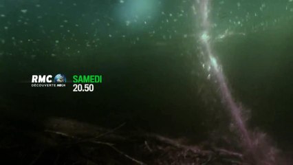 Retour à l'instinct primaire