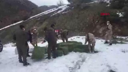 ELAZIĞ'DA YABAN HAYVANLARI İÇİN DOĞAYA YEM BIRAKILDI