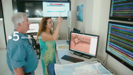 L’histoire du cheval de Troie - 15 mai