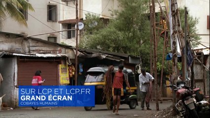 Cobayes humains - 13 mai