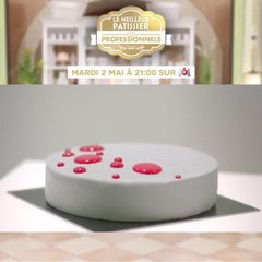 Le meilleur pâtissier : les professionnels