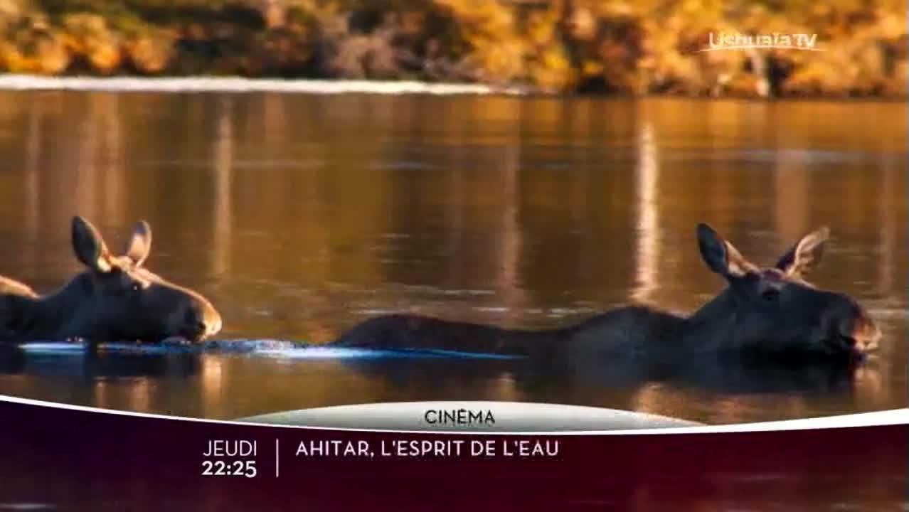 Loup