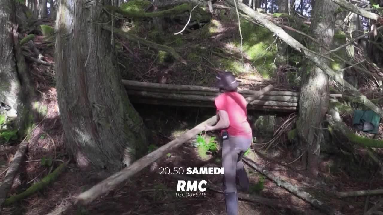 Alone : les survivants