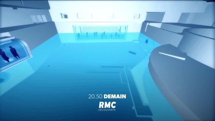 Nausicaa, le plus grand aquarium d’Europe - 10 mai