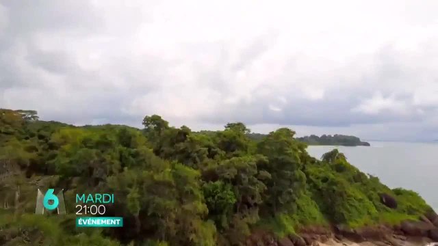 The Island célébrités, les secrets de l'île