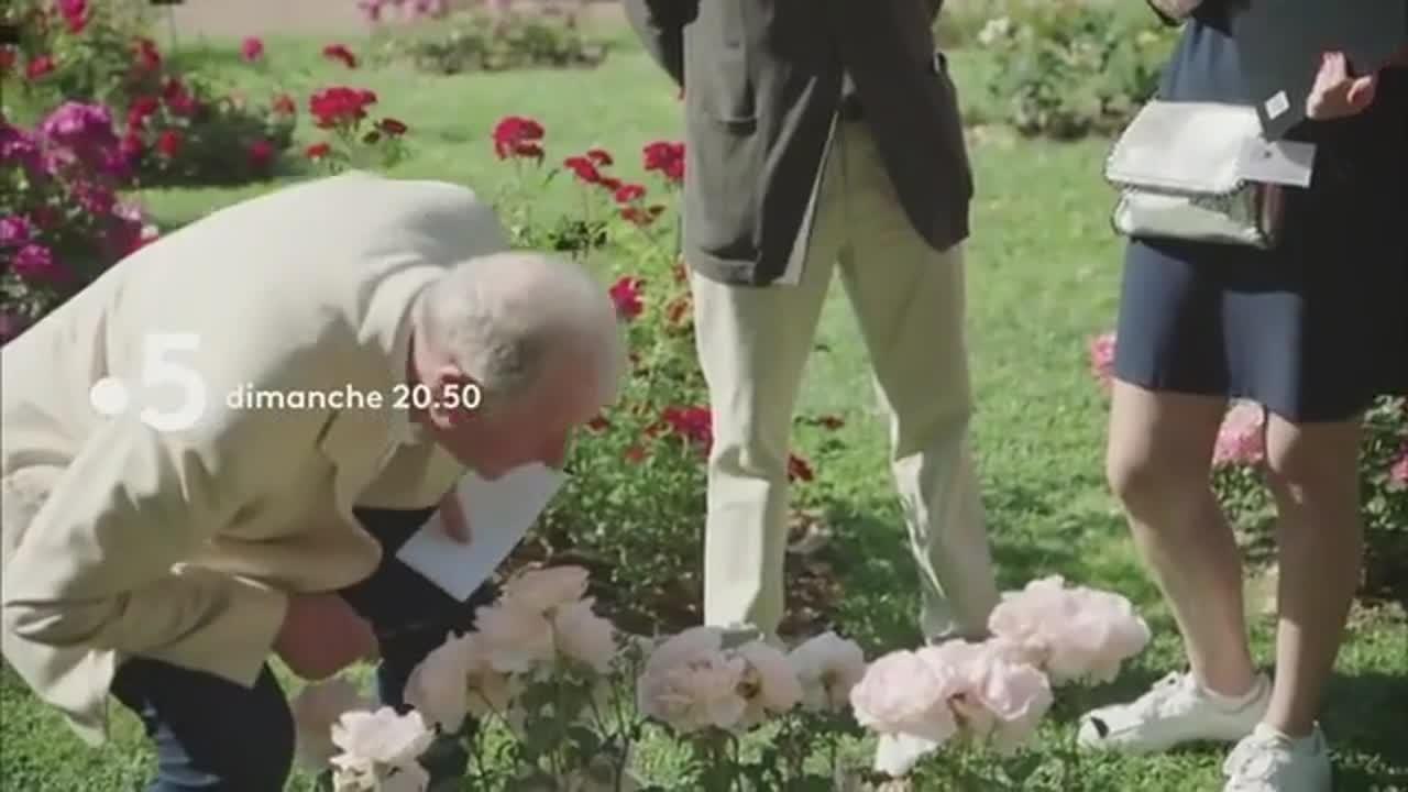 L'important, c'est la rose