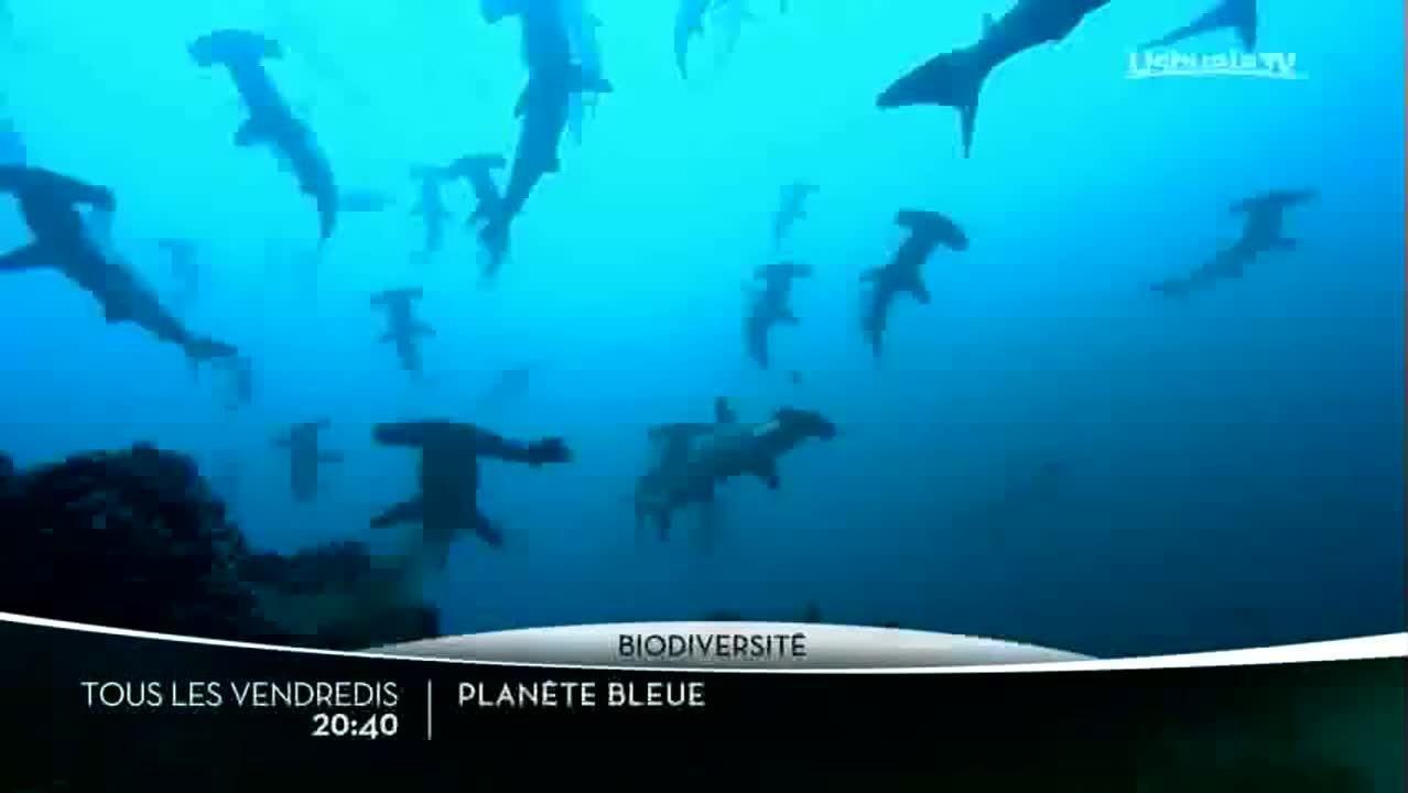 La planète bleue