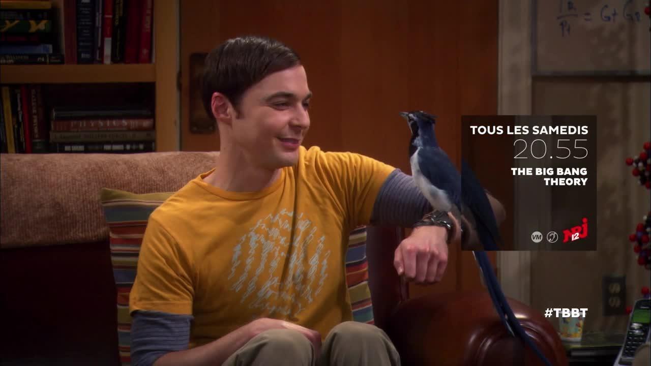 Big Bang Theory