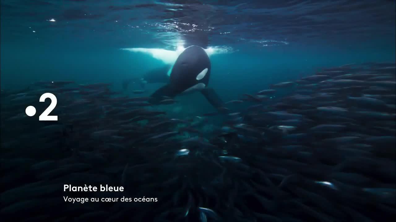 Planète bleue - 21 avril