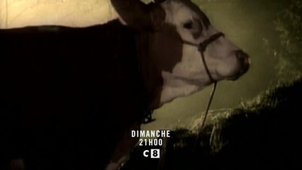 La vache et le prisonnier