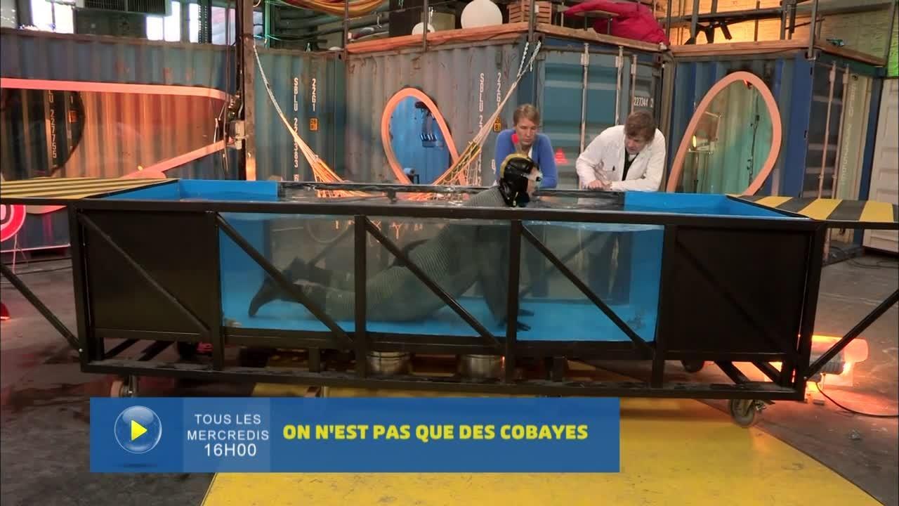 On n'est pas que des cobayes
