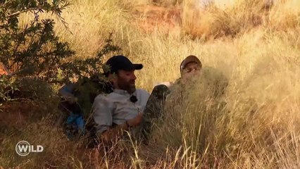 "Ce n'est pas humain", un candidat au bout de lui-même dans Wild sur M6