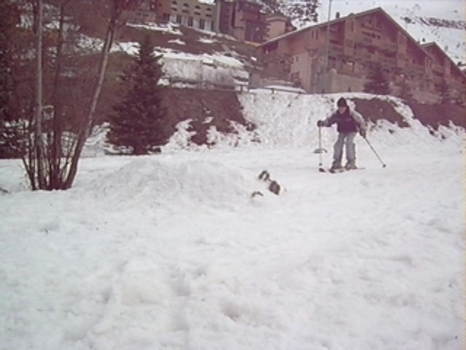 saut ski by moi
