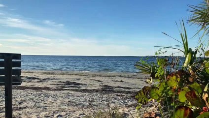 Florida_Beach Tarpon Springs| beach ambience #Floridabeach