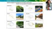 Réseau Adaptation Pays de la Loire - Adaptation au changement climatique et planification : des outils à disposition des territoires