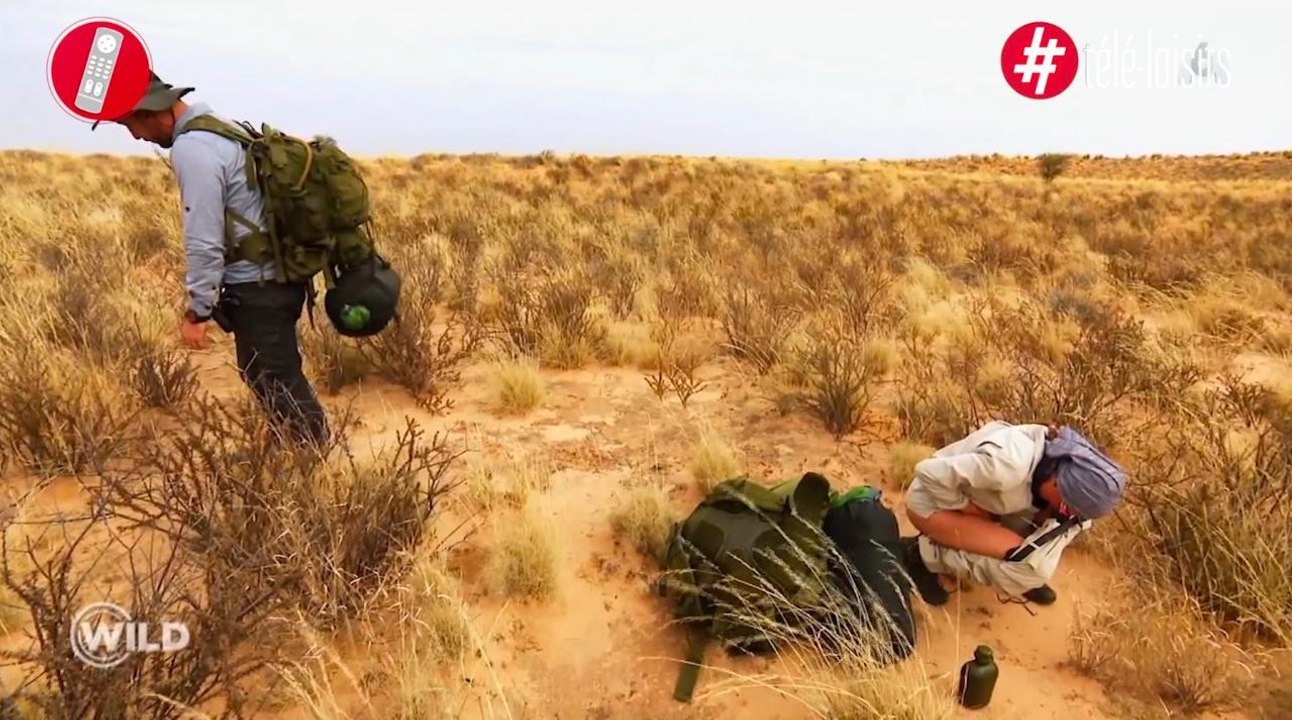 Samantha fesses nues dans Wild, la nouvelle séquence polémique