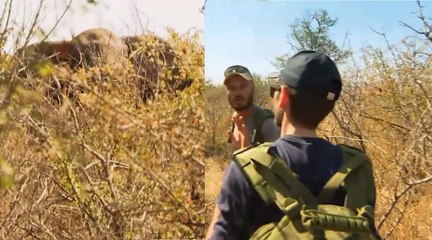 Wild, la course de survie (M6) : un binôme se retrouve face à un éléphant "prêt à charger" (VIDEO)