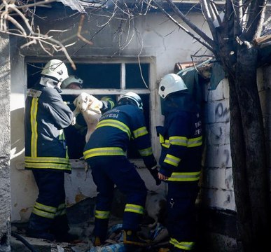 Son dakika haberleri... YANGINDA MAHSUR KALAN YAVRU KÖPEKLERİ İTFAİYE KURTARDI