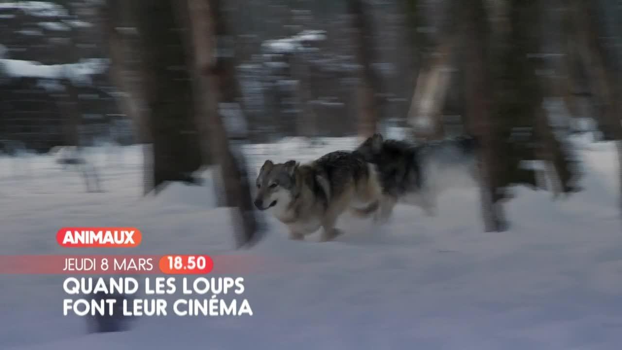 Photographes de l'impossible