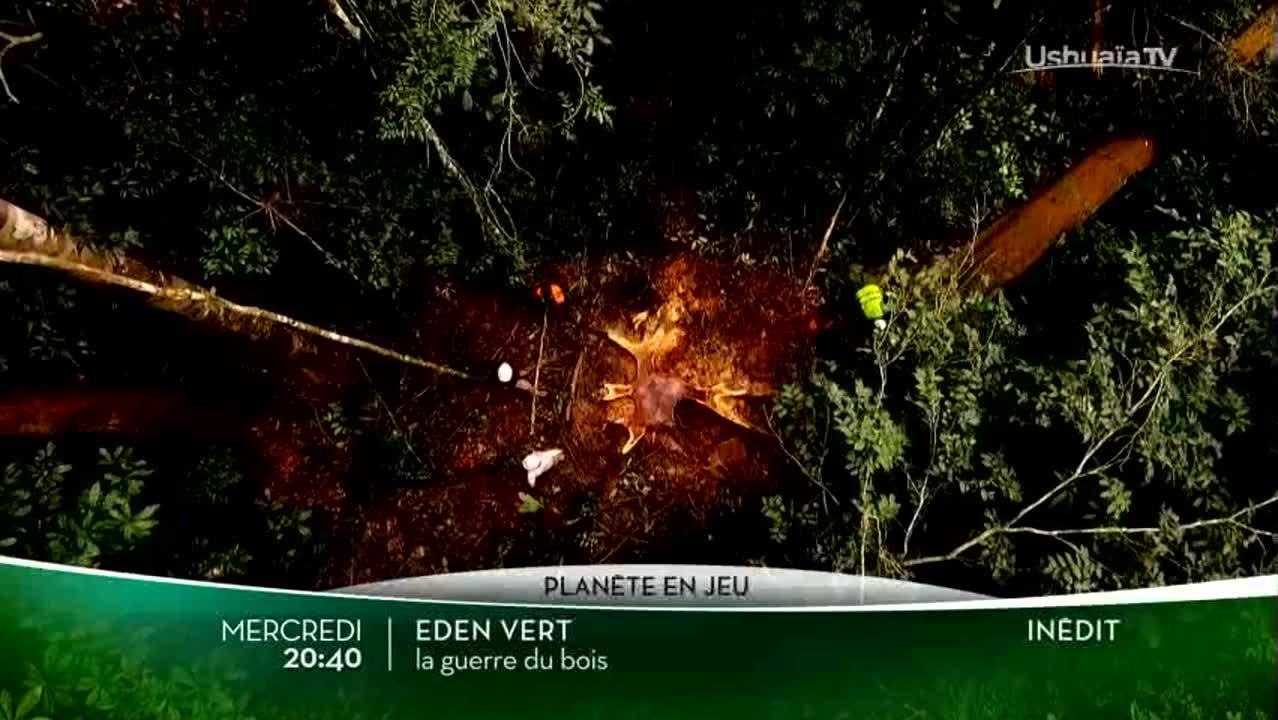 Eden vert : la guerre du bois