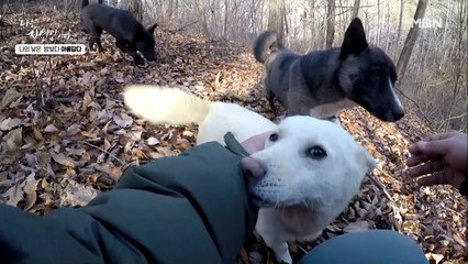 세상에서 제일 귀여운 가이드를 따라가다 만난 자연인?!