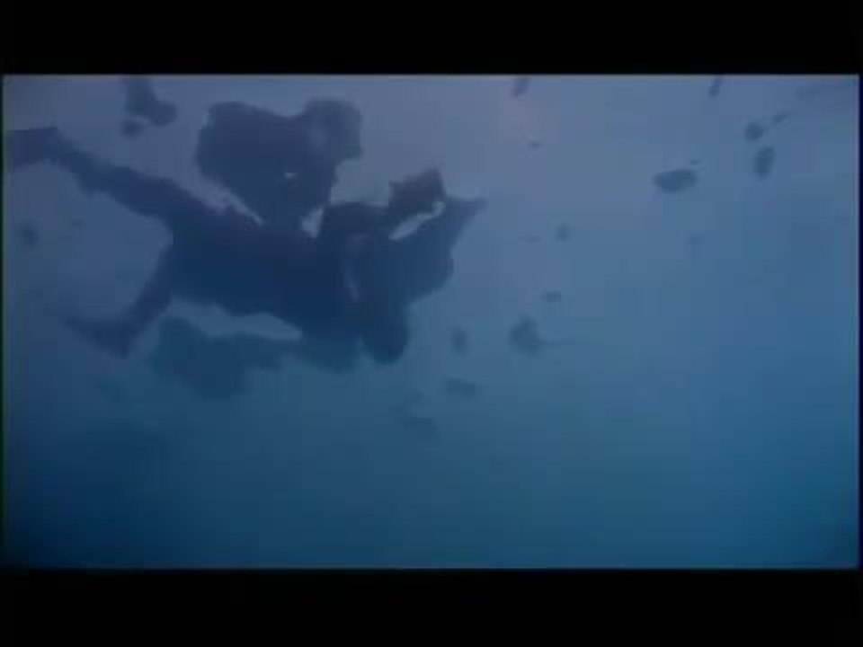 Le grand bleu - 26 mars