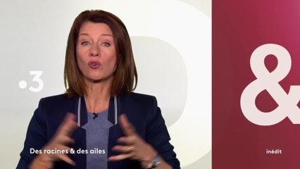 Des racines et des ailes - 7 mars