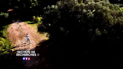 Section de recherches