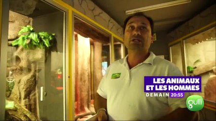 Les animaux et les hommes : une belle histoire d'amitié