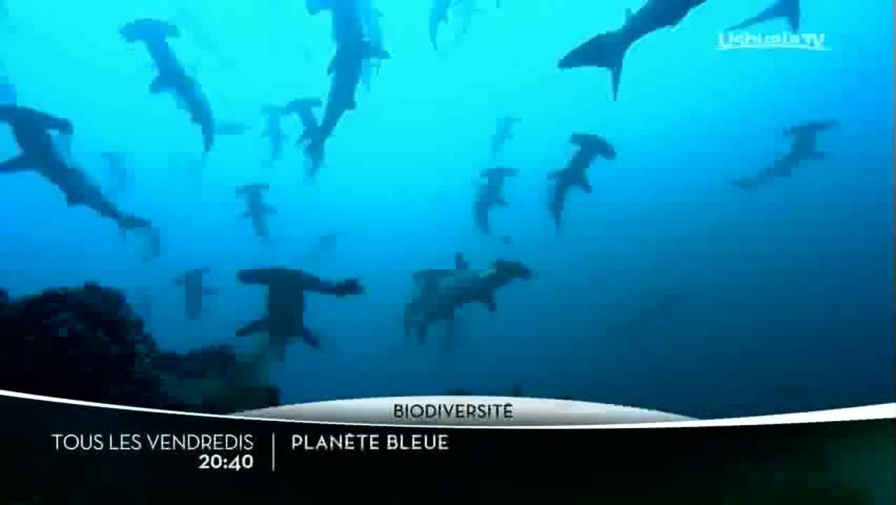 La planète bleue